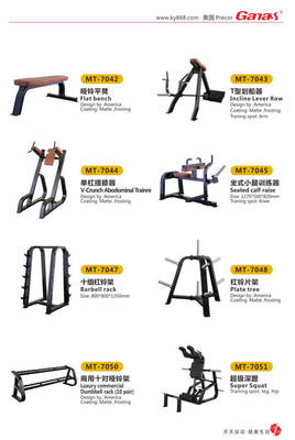 必确健身器材系列大全与专业健身服务解析